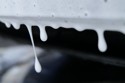Snow Foam Shampoo